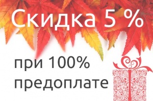 При 100% предоплате — скидка 5%