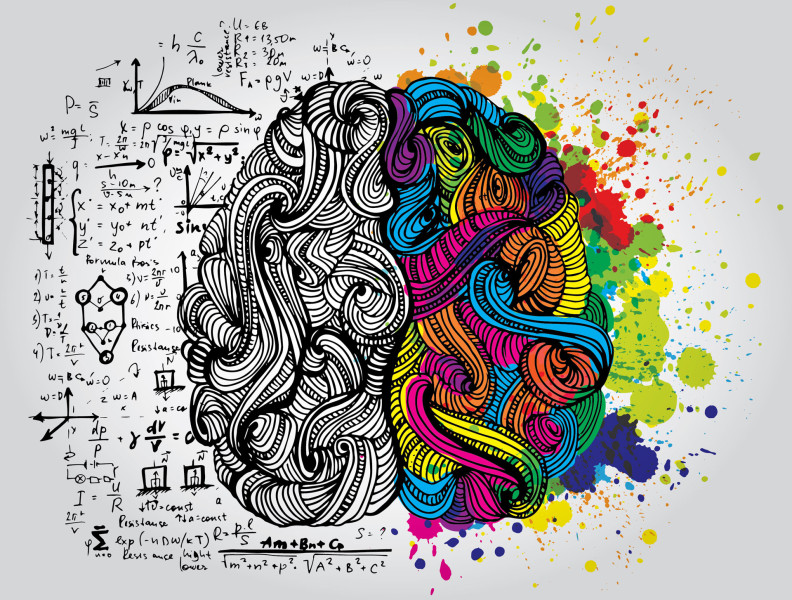 right-brain-left-brain-ss-1920-792x600.jpg